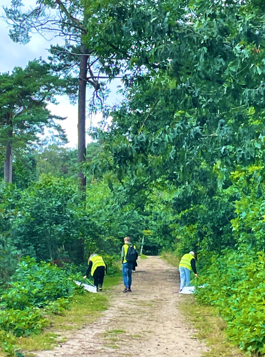 Sander Koenraadt (@bugproofbugprof) on Twitter photo Teaching <a href="/WUR/">Wageningen U&R</a> in September means tick hunting for the Basics of Infectious Diseases course. Nice start and tour <a href="/wildvanavolare/">Avolare wildopvang en educatie</a> wildlife rescue center (many ticks from hedgehogs!) and today monitoring verges of forest tracks for questing ticks. Teaching <a href="/WUR/">Wageningen U&R</a> in September means tick hunting for the Basics of Infectious Diseases course. Nice start and tour <a href="/wildvanavolare/">Avolare wildopvang en educatie</a> wildlife rescue center (many ticks from hedgehogs!) and today monitoring verges of forest tracks for questing ticks.