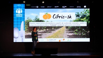 anacanoarribas's tweet photo. Belén Tamargo de @Cooplliria ha explicado en #Wefood-2023 el Proyecto #Cítric-sà, cofinanciado por la @GVAavi, que cuenta con la participación de @aimplas, #IAM @UPV e @idainature y la colaboración de @CoopsAgroCV. Una apuesta innovadora para la gestión integrada de plagas. https://t.co/FsQr0gg0zI