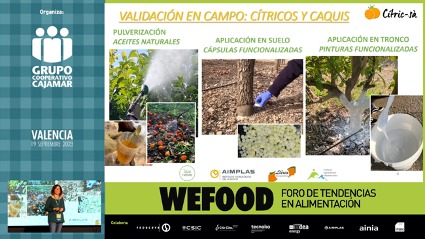 anacanoarribas's tweet photo. Belén Tamargo de @Cooplliria ha explicado en #Wefood-2023 el Proyecto #Cítric-sà, cofinanciado por la @GVAavi, que cuenta con la participación de @aimplas, #IAM @UPV e @idainature y la colaboración de @CoopsAgroCV. Una apuesta innovadora para la gestión integrada de plagas. https://t.co/FsQr0gg0zI