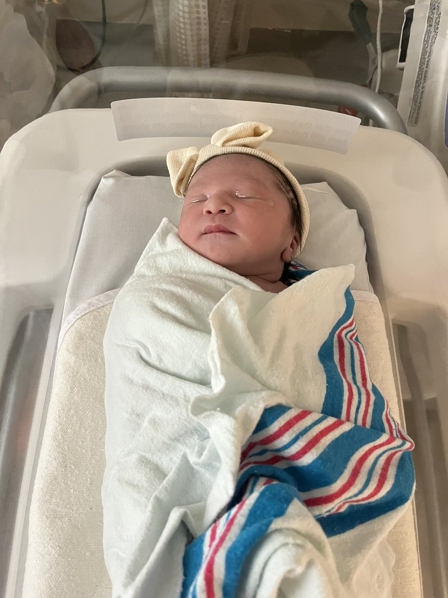 Raphael Chillious tweet media