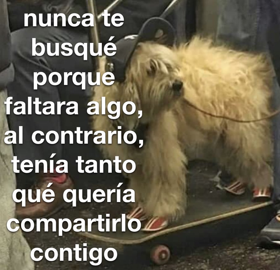 conoloracigarro's tweet photo. al contrario https://t.co/gZw6zu1Neb