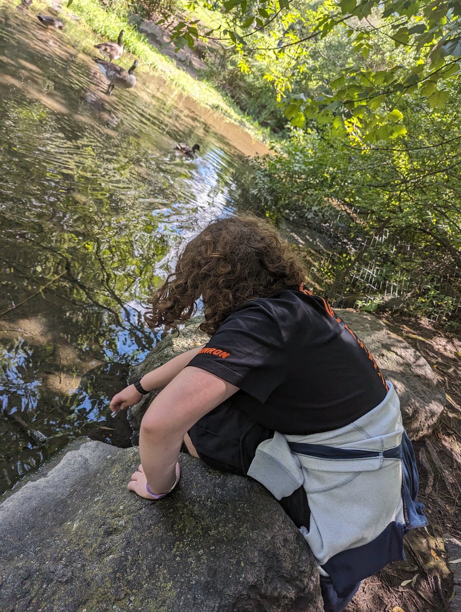 Mrs J Barrowcliff (@mrsjbarrowcliff) on Twitter photo 