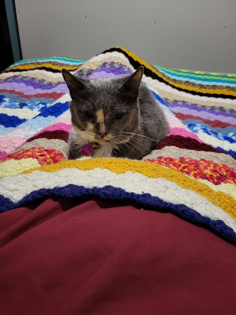 Judith Duthie / Calgary Book Nerd tweet media