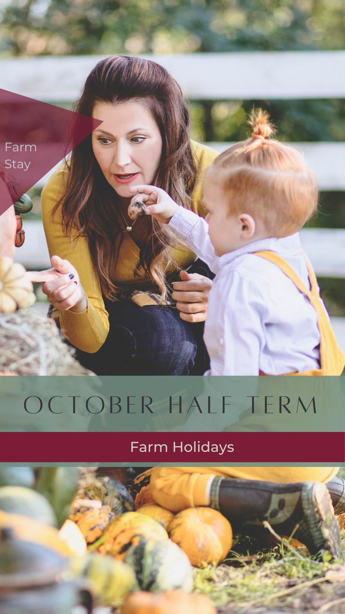 🍂 Enjoy an unforgettable October Half Term with Farm Stay! Feed animals, explore, swim, and play with the family. Book now for farmtastic fun! 🏡💫 

farmstay.co.uk/things_to_do/f… 

#FarmStayFun #OctoberHalfTerm #FamilyAdventures