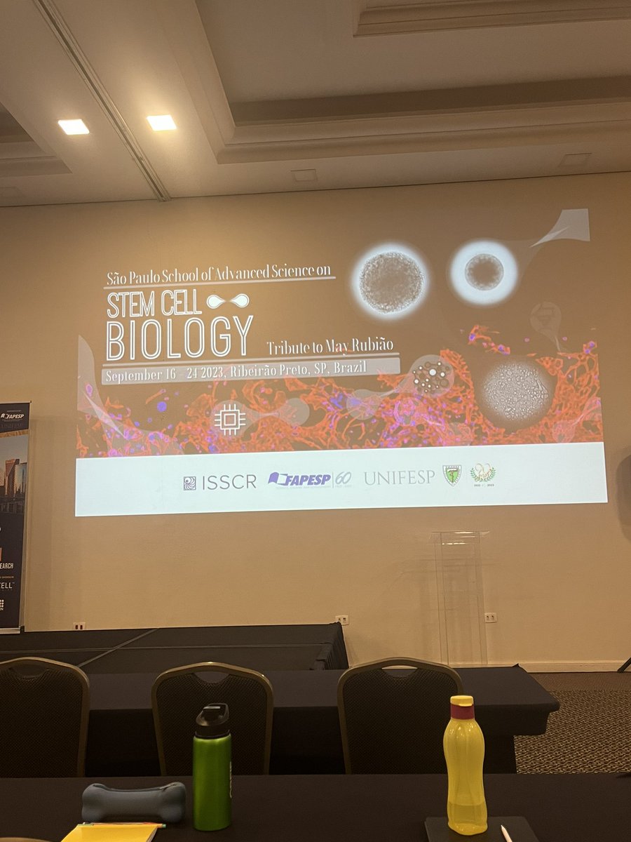 milafelixf's tweet photo. Day 4 of lectures at the SP School of Advanced Science on Stem Cell Biology. We learned a lot about development, pluripotent stem cells and reprogramming. Today we are diving into the field of Adult Stem Cells &amp; Regeneration! 🤓#stemcellresearch #isscr #spsas https://t.co/jCYNSqSNTt