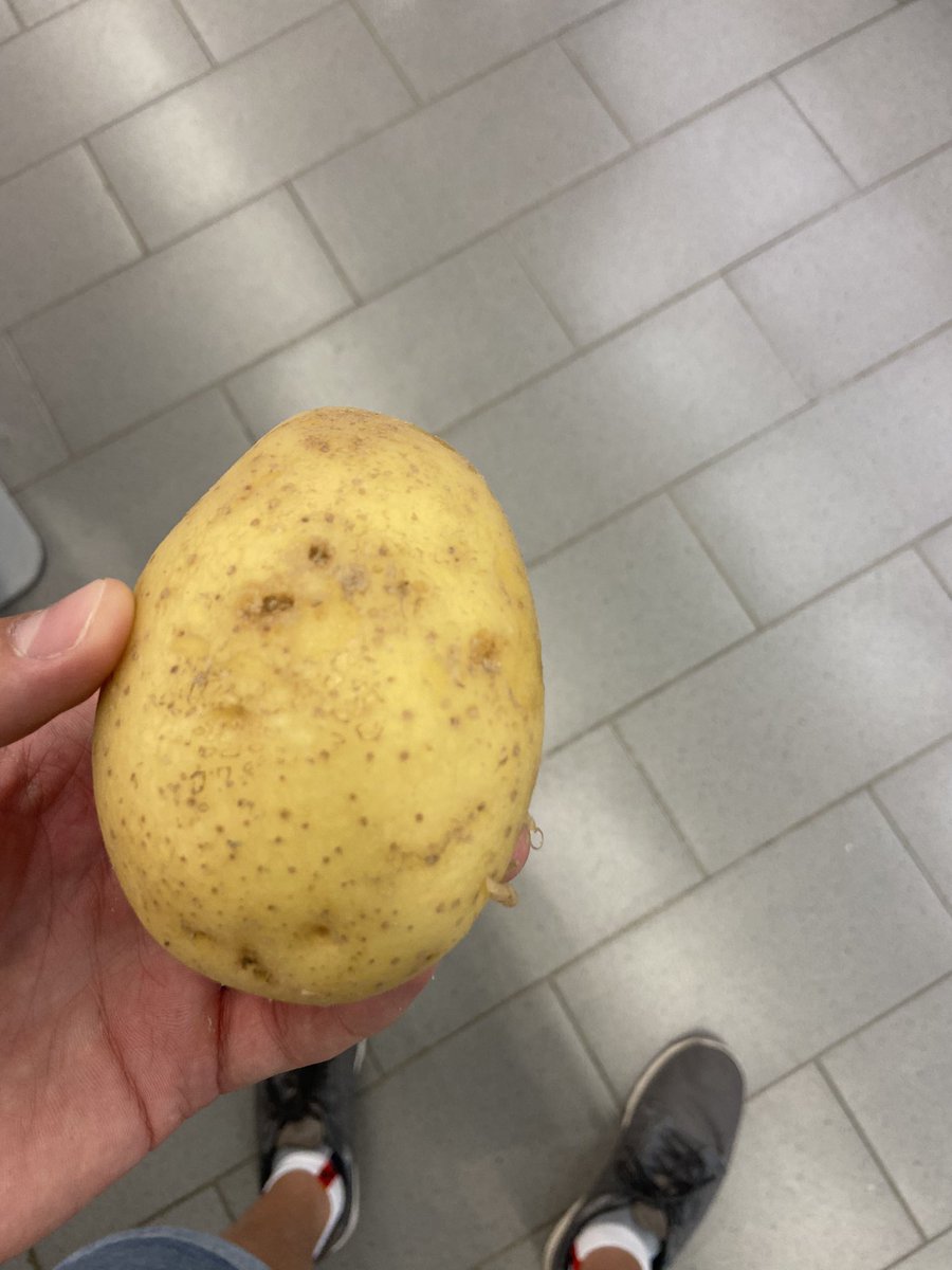Manuelj_alsa's tweet photo. Desenlace de la historia: he ido al Mercadona y me han dado esta patata para compensarme. Me dan igual las críticas, nunca me avergonzaré por luchar por mis derechos. Si permitimos hormigas en una patata, ¿que será lo siguiente? https://t.co/Bx29LbWajY