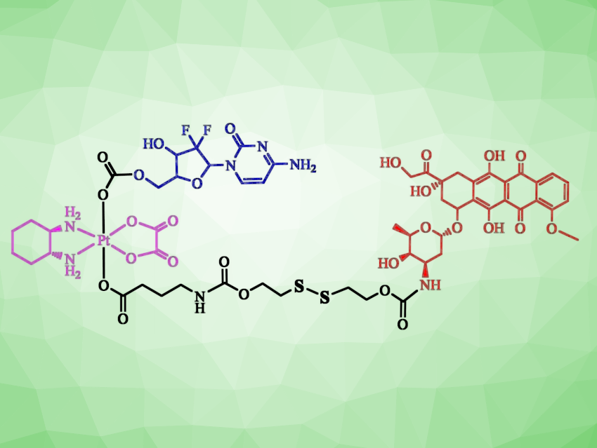 ChemistryViews's tweet photo. Multitargeting Prodrugs Inhibit Tumor Growth and Induce Cell Death: Prodrug releases oxaliplatin, doxorubicin, and gemcitabine in their active form upon cellular reduction https://t.co/M7SbV3FHrG https://t.co/W5FhnlKcIL