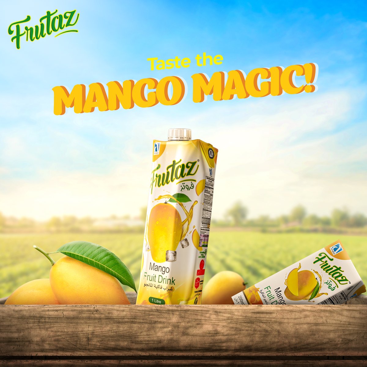 Pure Mango Goodness in Every Sip!

#Frutaz #MangoJuice #Mango #RefreshingDelight #JuicyGoodness #ThirstQuencher #TropicalTreat #PureRefreshment #FruitfulIndulgence #SipofSummer