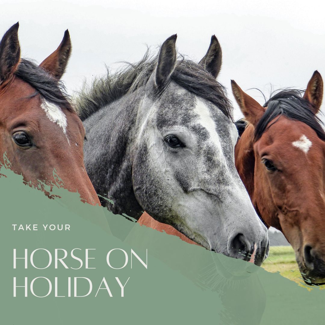 Looking for a vacation that's as fabulous for your horse as it is for you? Look no further! 🐴  Farm Stay UK has incredible properties where you and your equine friend can have an unforgettable adventure – but don't worry, they won't be roomies! 🛏️🐾   
farmstay.co.uk/holidayideas/t…