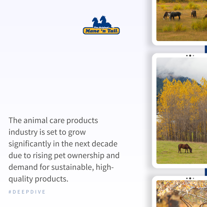 ManeNTail_EU's tweet photo. The future of pet care is here! 🐾 

The next decade is set to see a major shift in the animal care products industry, driven by a rise in pet ownership and a demand for premium, health-centric products. 📈🐶🐱 

#PetCare #Sustainability #EthicalSourcing #PetLove #AnimalCare https://t.co/3hR2qXqFog
