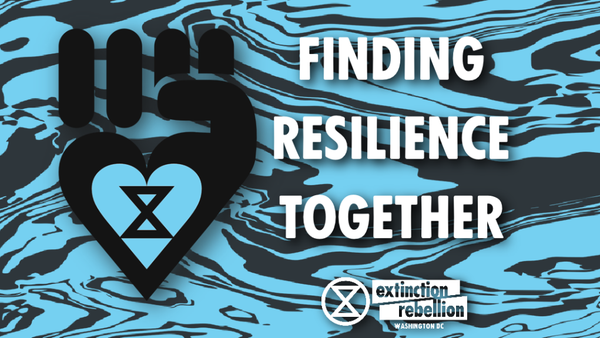 Extinction Rebellion Boston 🐝⌛🦋 tweet media