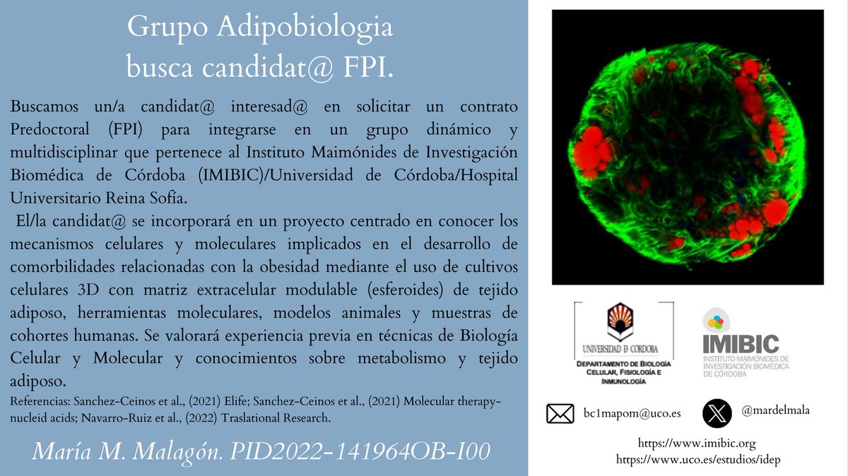 Buscamos candidat@ FPI en nuestro grupo.