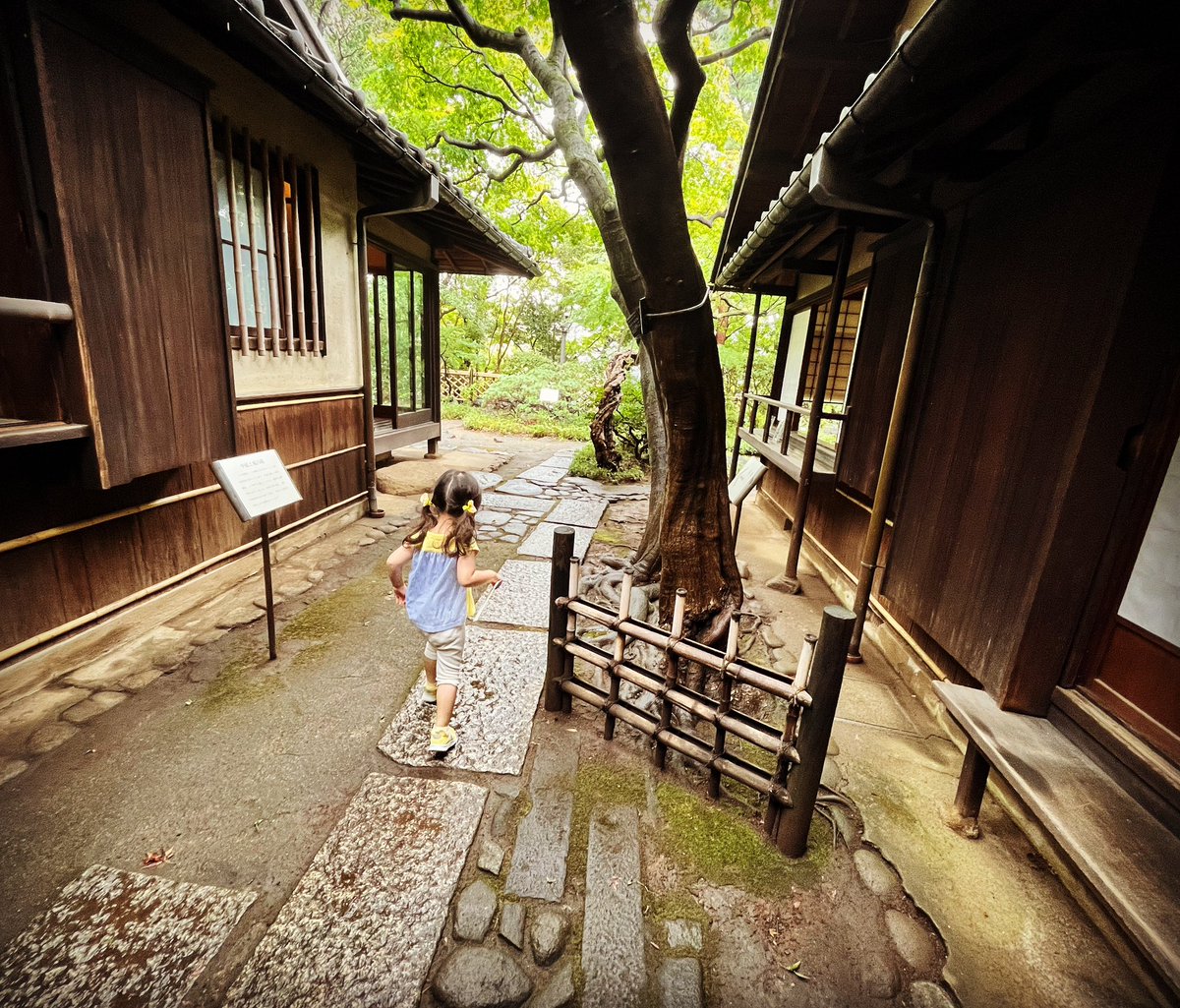 【お知らせ】
9/23(土)14:35〜16:00
#フジテレビ にて放送

『時空少年少女探偵団〜夢のスマホでタイムトラベル〜』に出演します！

「冷蔵庫の起源」を子供達と共にタイムスリップできる内容です♪
私も撮影前、娘と冷蔵庫の起源を辿りました★

視聴&amp;録画予約お願いします^^ tv.yahoo.co.jp/program/?sid=8…
