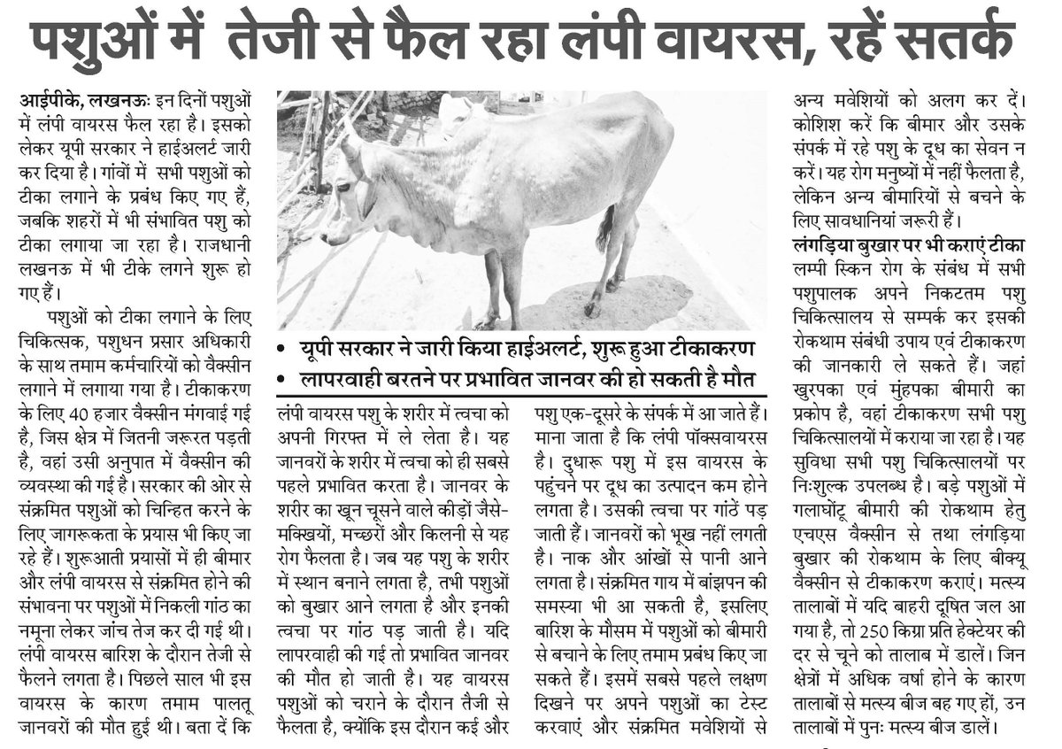 पशुओं में तेजी से फैल रहा लंपी वायरस, सतर्क रहें पशुपालक

#lampivirus #cow #UttarPradesh #indiapublickhabar
