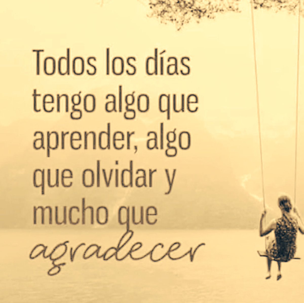 Que tengas un excelente Martes! 🌞
#FelizMartesATodos