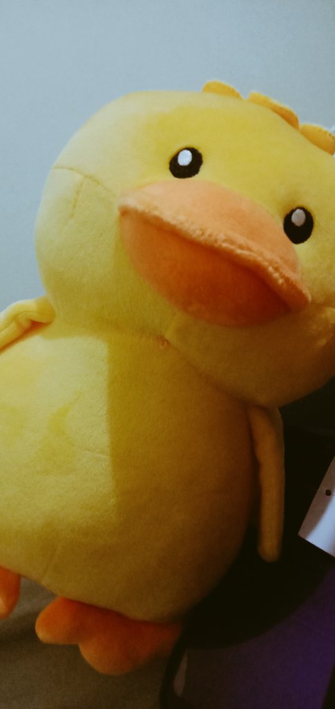 fshhehe19's tweet image. yeay mulai hari ini bobonya bakal di temenin curut #giftmyself