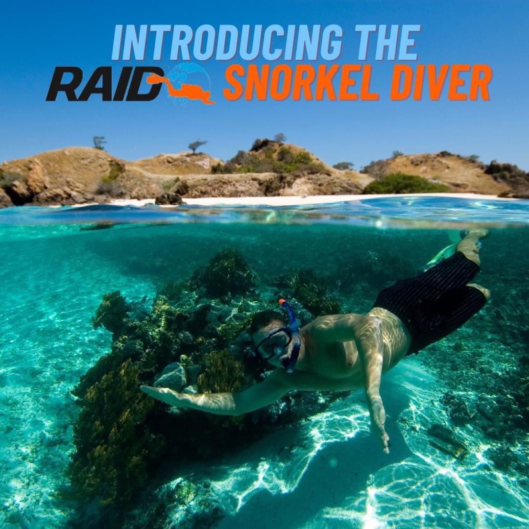 RAID launches a new Snorkelling course - visit DiveRAID.com for more details. 

#theRAIDway #diveraid