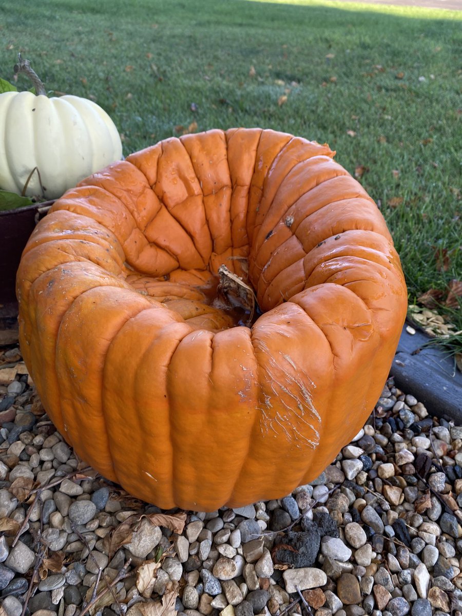 FrankCutler5's tweet photo. Sad pumpkin 🎃! https://t.co/zjmvm0yihB