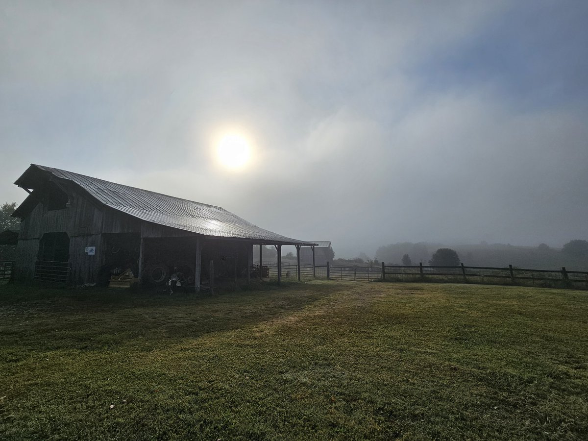 Kendra Maples Bean tweet media