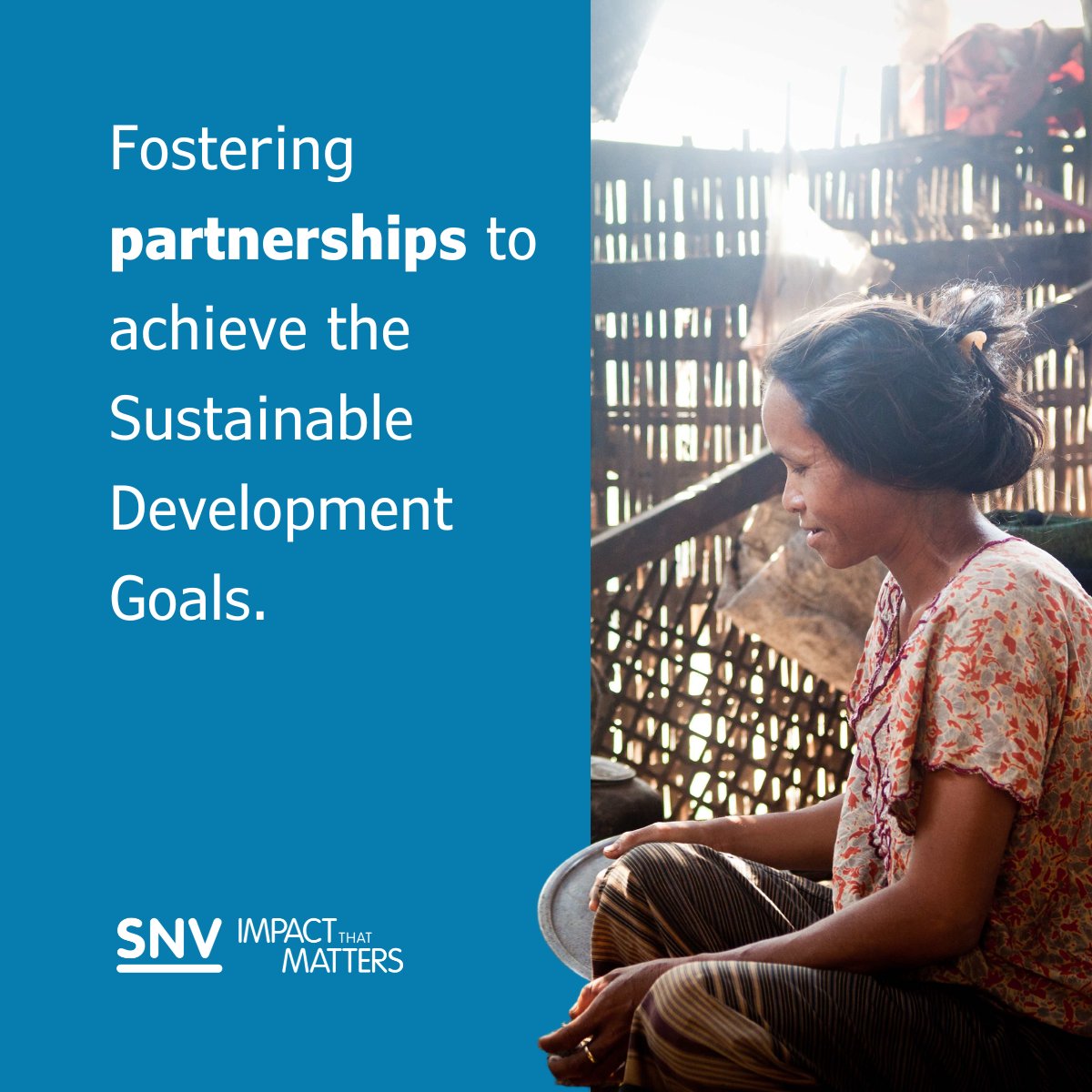 SNVworld's tweet photo. SNV is dedicated to deepening capacity & fostering partnerships to achieve the Sustainable Development Goals. Together, we can shape a resilient future for all, especially in fragile contexts.
See more in our 2030 strategy⬇️
https://t.co/USxPjj6Rw0
#SNVImpact #UNGA78 #SDGs https://t.co/gx0ULZvL7b