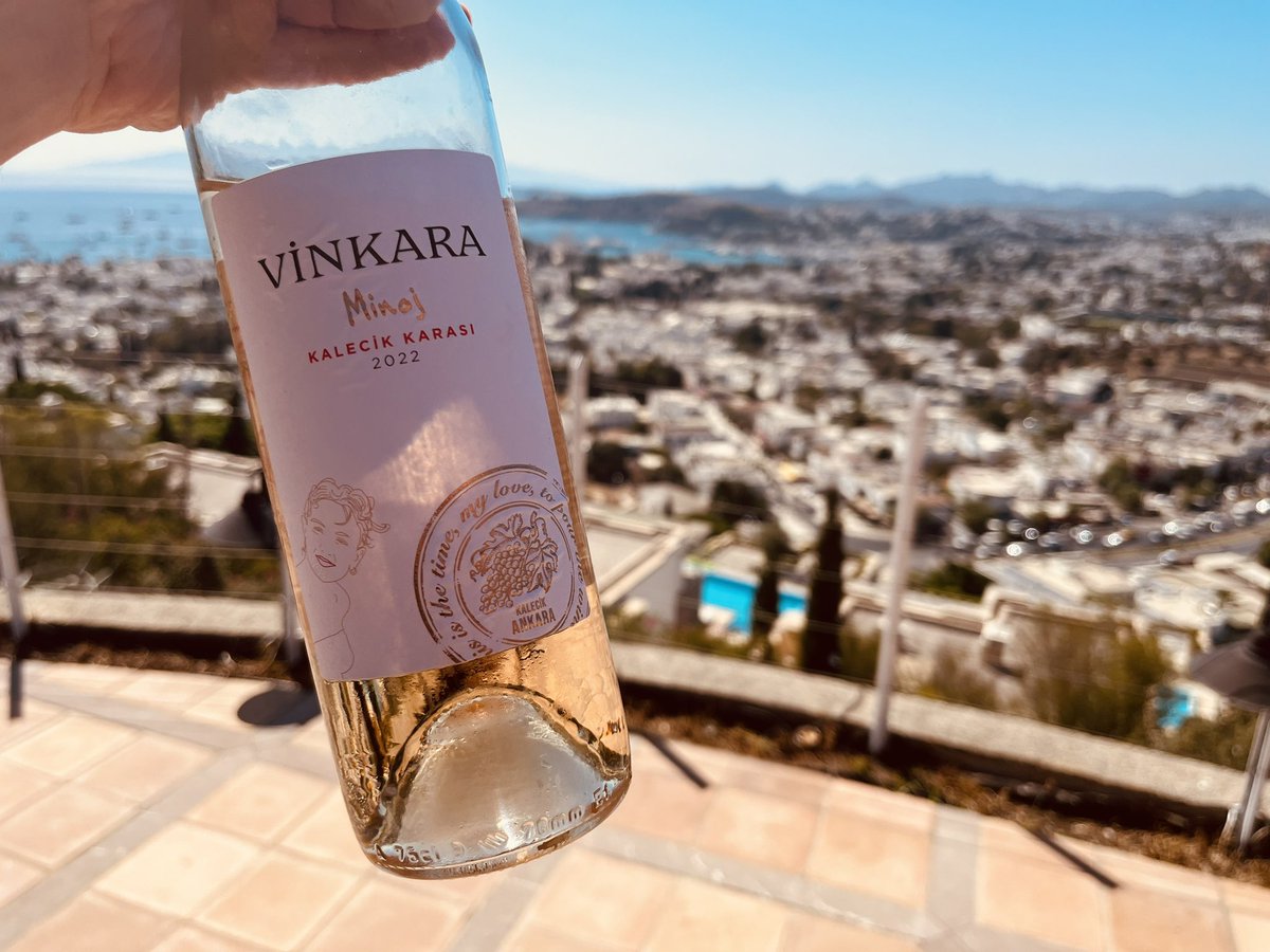 Mark Capra tweet media