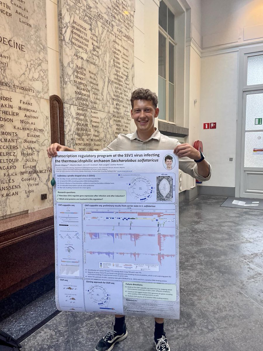 🎉🏆 Congrats to <a href="/MagnusWouter/">Wouter Magnus</a>  on winning the Best Poster Award at the <a href="/BSVoM_official/">Belgian Society for Viruses of Microbes</a> Symposium in Liège! 🙌🎊 Your hard work on viral transcription regulators has paid off, and we're thrilled to celebrate with you.
