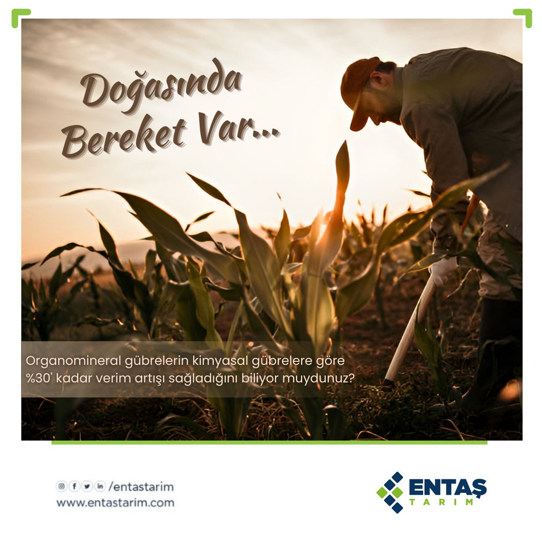 entastarim's tweet photo. Detaylı bilgi için Ziraat Yüksek Mühendisimizle iletişime geçebilirsiniz.
T. 0532 134 08 41

🌐 https://t.co/GpnJwrjV0N
🌐 https://t.co/jIbVlFd8Bb
.
.
.
#entastarim #gübre #tarım #çiftçi #organikgübre #fındık #agriculture #farming #farm #fertilizer #tea #organomineralgübre https://t.co/mpDkcPFriP