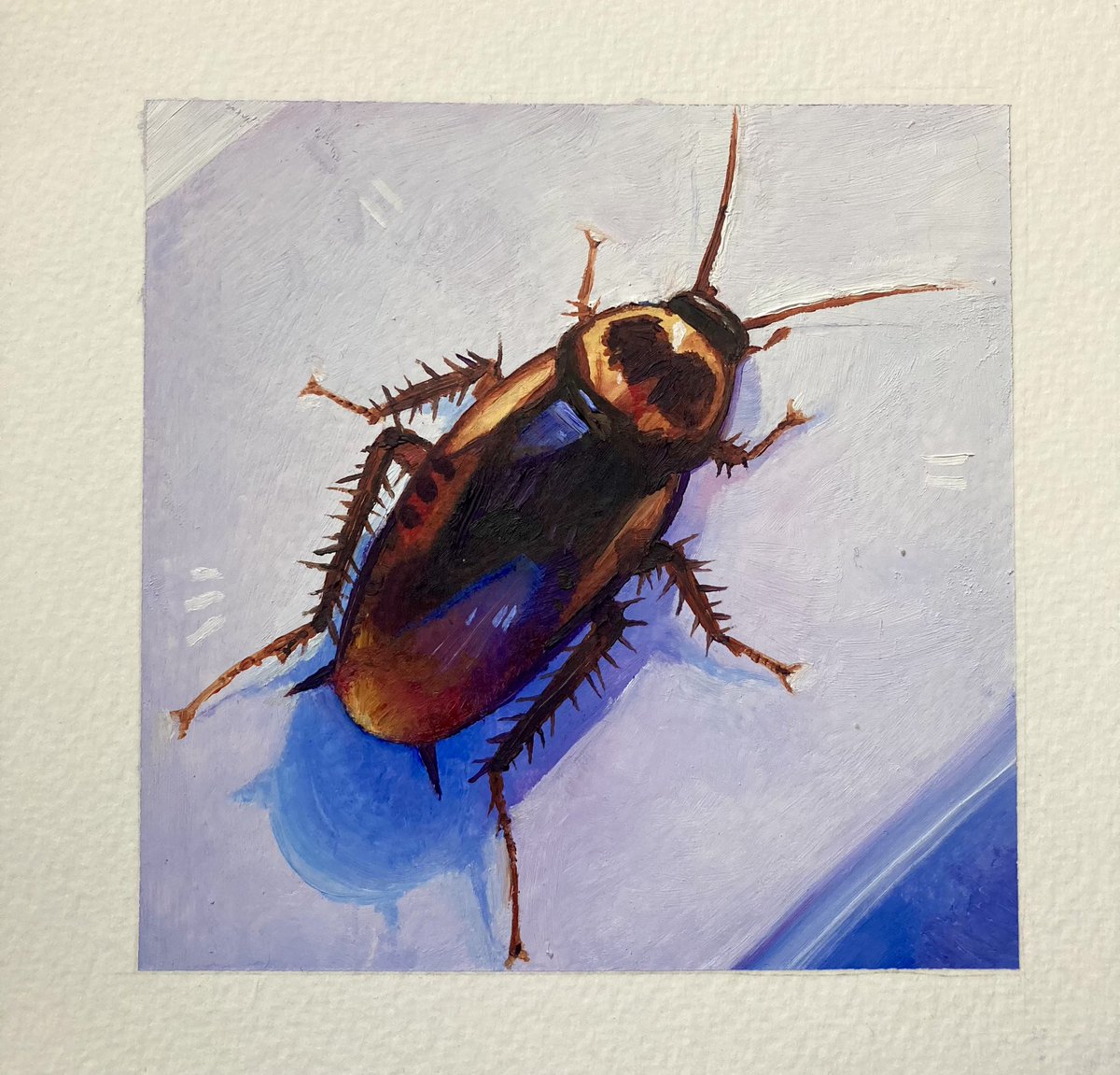 finally stopped raining so i could take a good pic of my painting!! first one in abt 10yrs, not too shabby 😎

4”x4” oil on paper