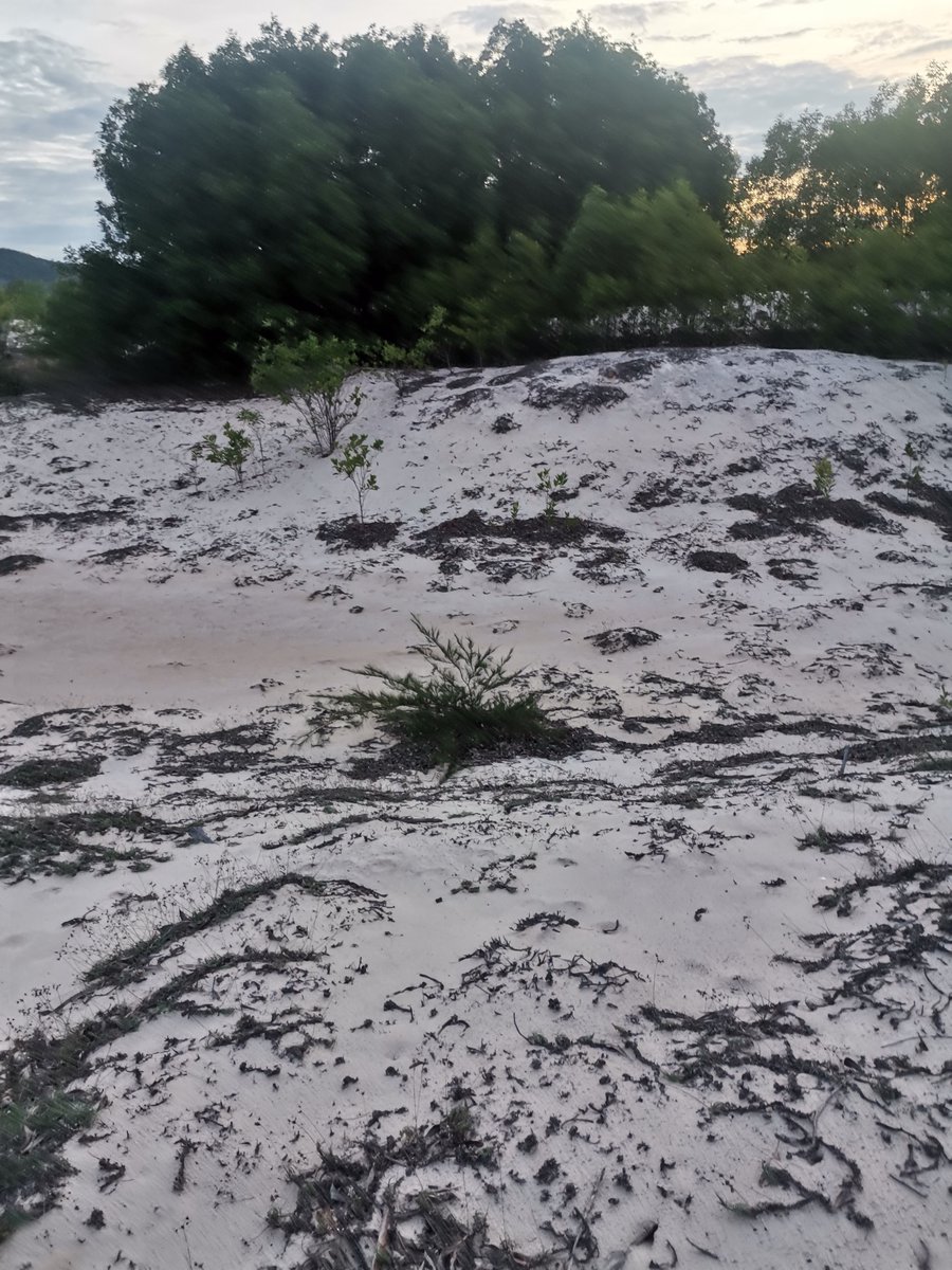 Tinh yeu nay, mai mai dep tuoi,