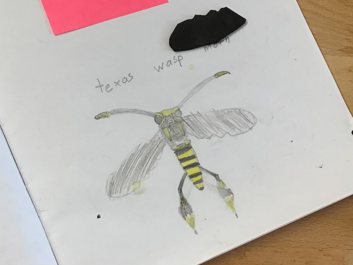 Tιɱ Sƈαɾɾσƚƚ tweet media