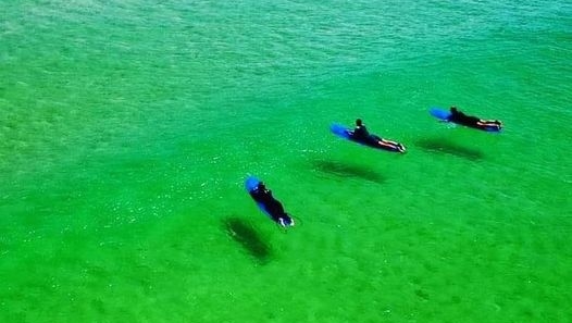 You know the Ocean is clear when you can see the shadow of your surf board on the sand bottom. We 💙 Mimizan Beach. #puravidalodge #surfcamp #mimizan #surfholiday #puravidasurflodge #surfhouse #surflife #beachlife #mimizanplage #surfrider #vacation #holiday #surfing #surftravel