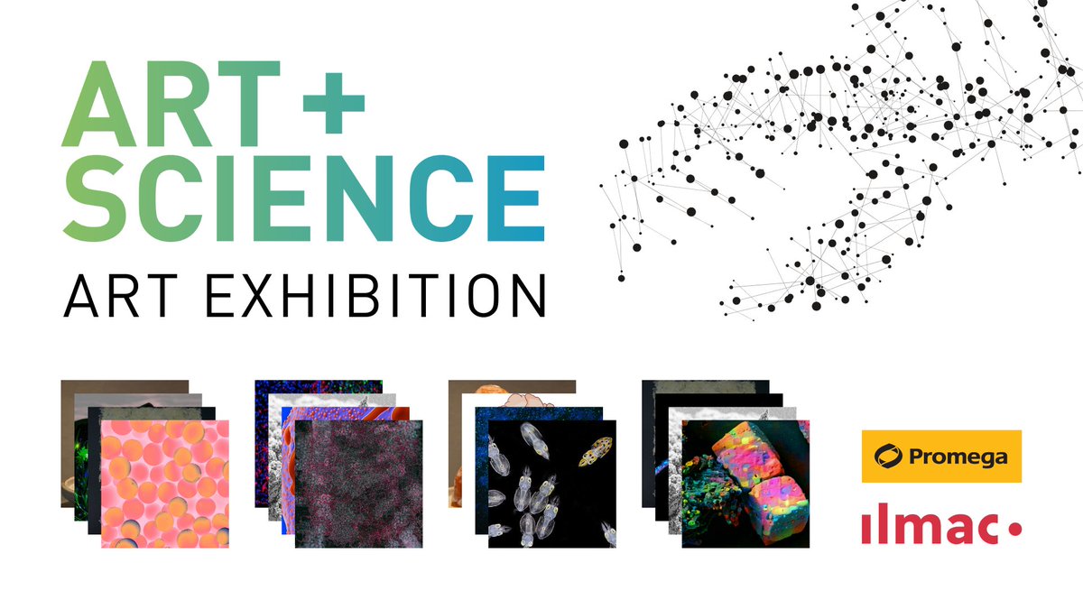 After two years of virtual exhibitions, we are delighted to present our first live Art + Science Exhibition together with Ilmac in Basel. Don't miss the opportunity to see it from 26-28.09.23! Join us for the Art+Science award ceremony and apero on September 27th at 4pm.