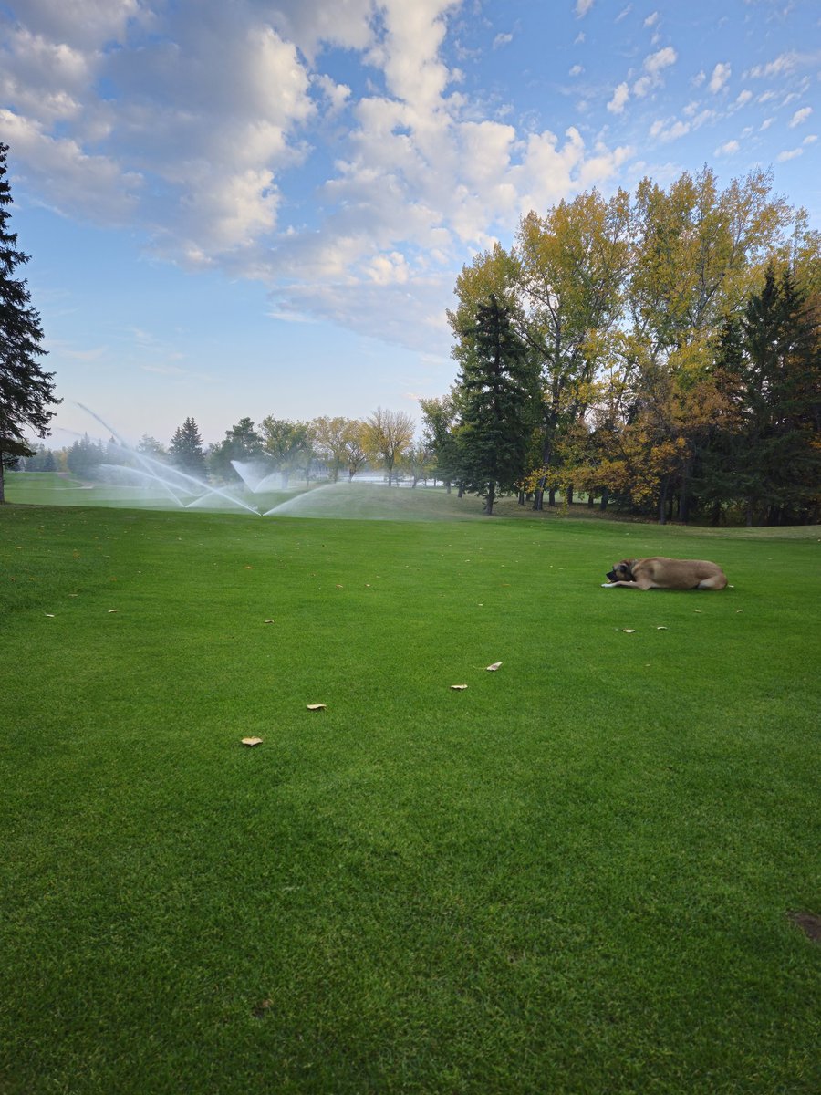 Myles Johb tweet media