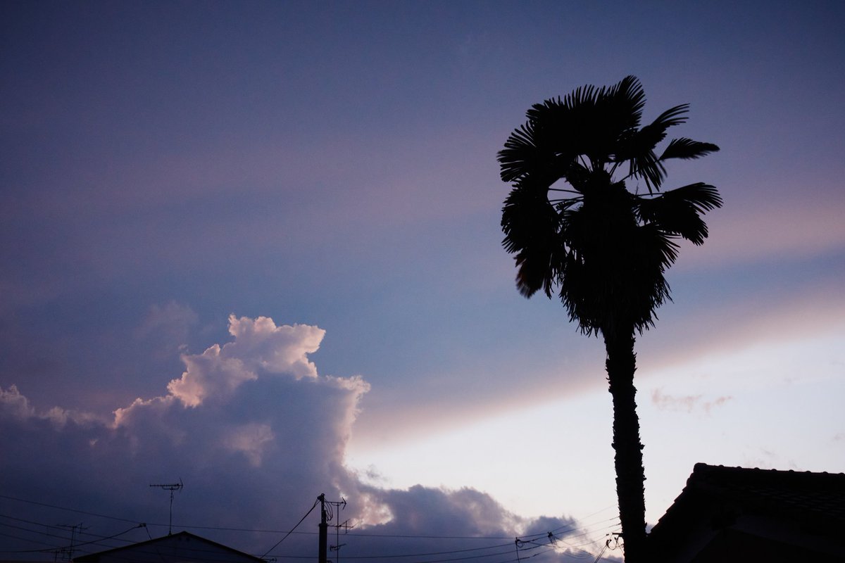 stone0flower's tweet photo. Skyいろいろ
#そら
#雲
#sky
#天気
#NaturePhotography https://t.co/prTHZAzDdA