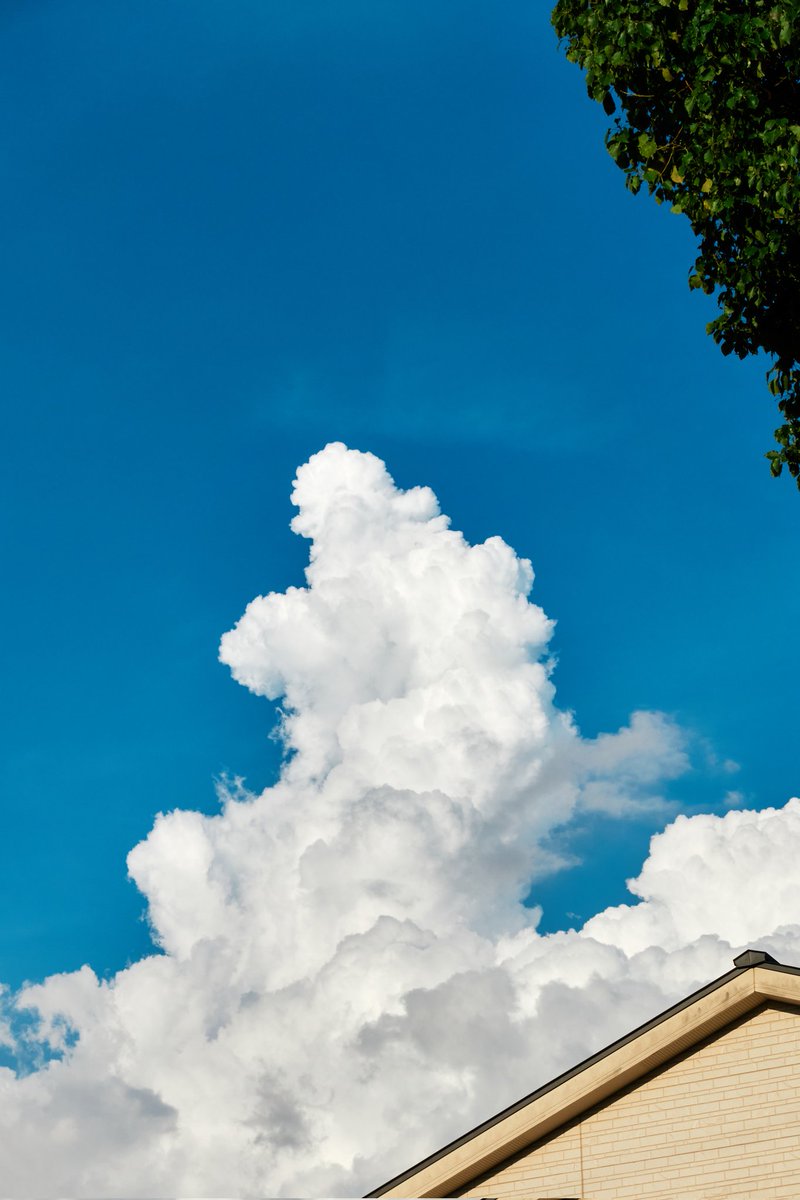 stone0flower's tweet photo. Skyいろいろ
#そら
#雲
#sky
#天気
#NaturePhotography https://t.co/prTHZAzDdA