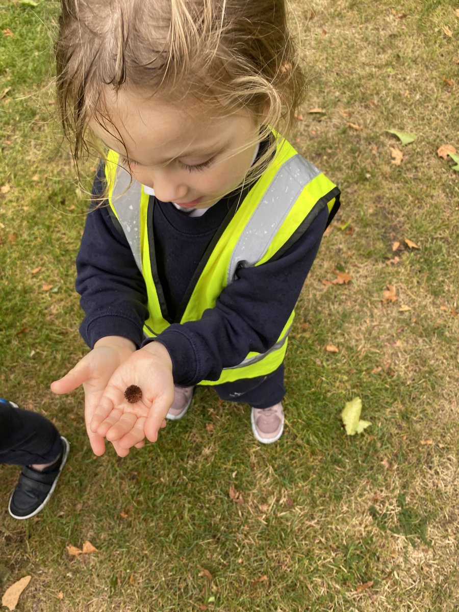 Wise Owls braving all weathers, practicing tying knots to make kites, working together to make a shelter from the rain, making amazing discoveries and playing fun games. #windyweather #kites #shelter #autumn 💨🪁⛺️🍁🍂🏃‍♀️🏃🏃‍♂️