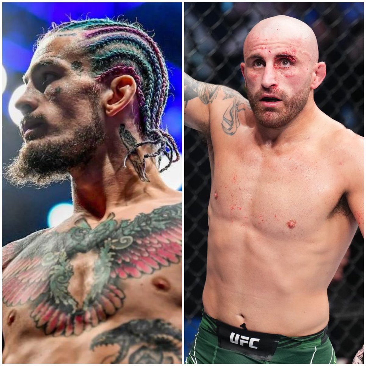 mma_orbit's tweet photo. 🗣️“Do I believe I can knock Volk out? 100 %. I believe I can knock anyone out at 135 or 145.”

- Sean O’Malley via his YT channel https://t.co/PnC8gvywLg