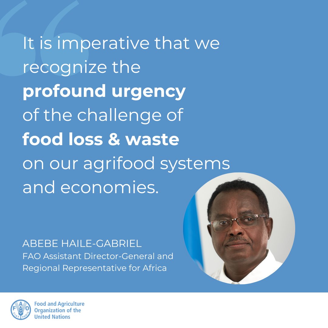 FAOAfrica's tweet photo. Did you know, 14% of all food is lost between harvest &amp; retail sale?  

❌Food loss wastes precious resources and perpetuate hunger &amp; malnutrition.

@FAOAfricaADG @AbebeHGabriel gave this message in his keynote remarks at the 4th All African Post-Harvest Congress &amp; Exhibition 👇🏿 https://t.co/9oERkCm4Ek