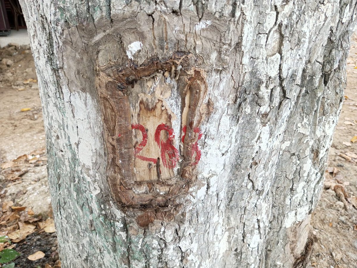 Pramod kalita tweet media