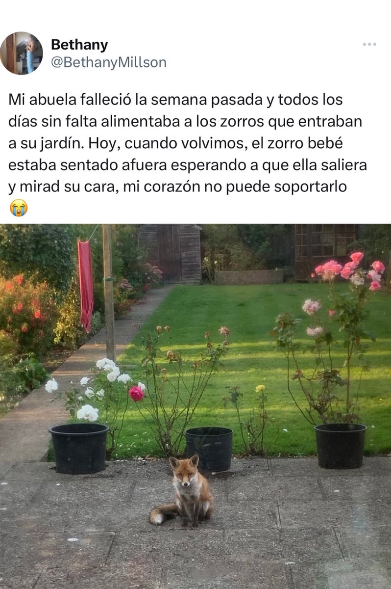 Este tweet duele en el corazón