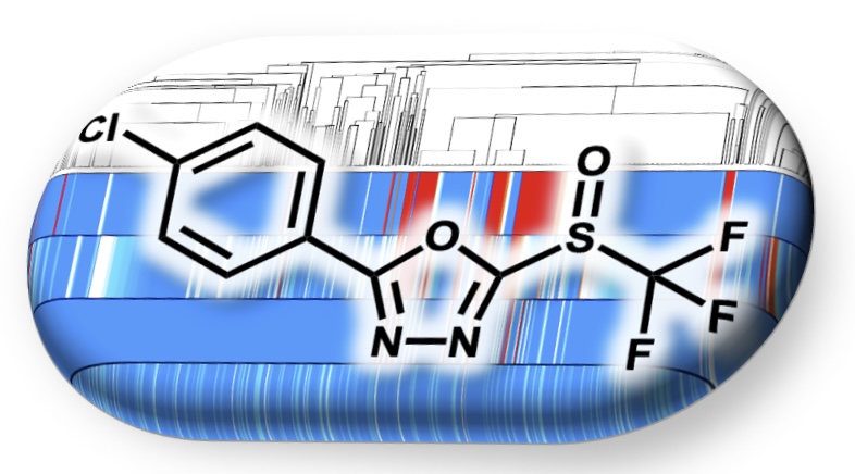 Our manuscript describing our second new bioactivated nematicide is now posted on BioRxiv. Great work by my PhD student Jessica Knox and the rest of our team! biorxiv.org/content/10.110…