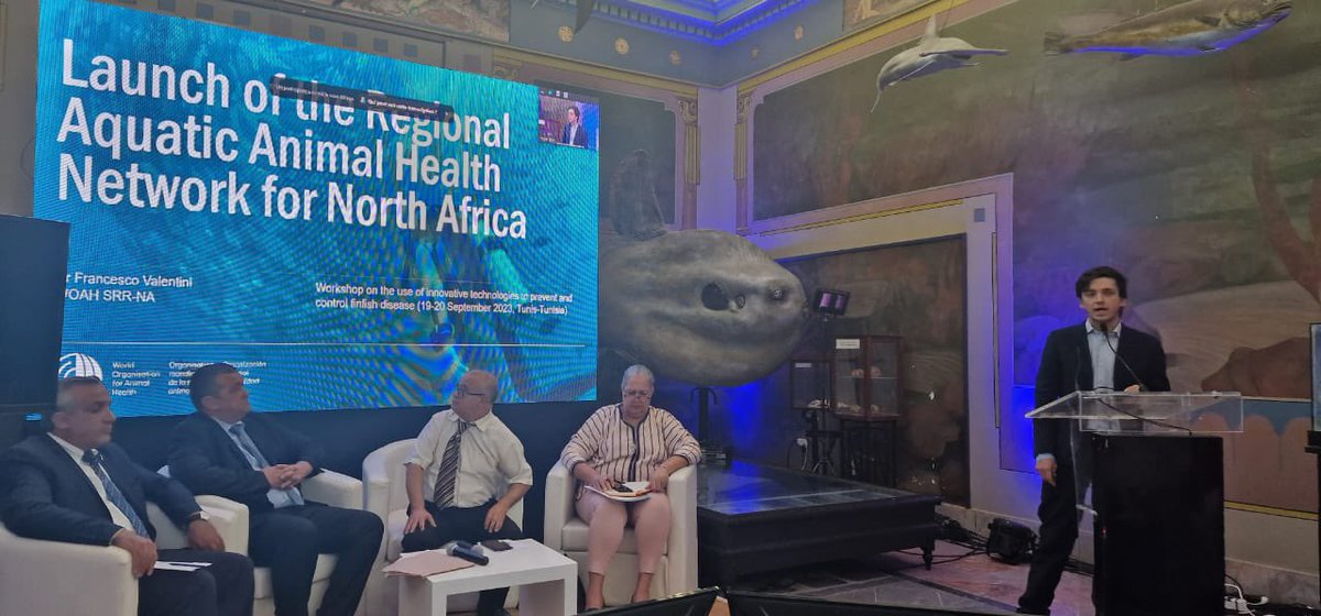 UN_FAO_GFCM's tweet photo. The aquaculture team is in #Tunis kicking off a 2-day workshop on the use of innovative technologies to prevent & control #finfish disease.
📌Overview of recent technological advancements on aquatic pathogen diagnosis & their contribution towards reducing disease risks
#GFCM_CAQ https://t.co/MBectQMqmq