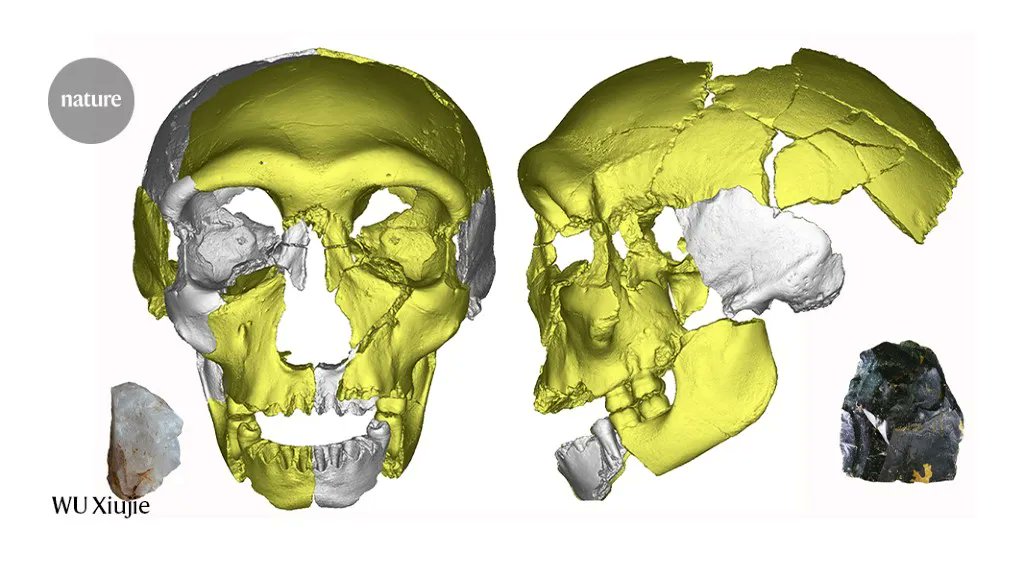 A new human species? Mystery surrounds 300,000-year-old fossil buff.ly/3ZpJWei