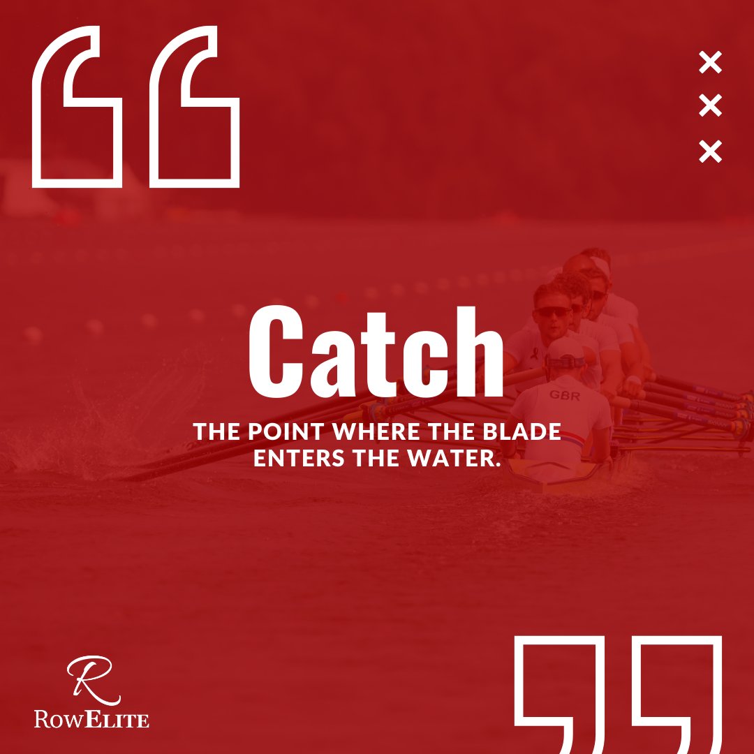 "The Catch"

What's your favourite term for #terminologytuesdays
