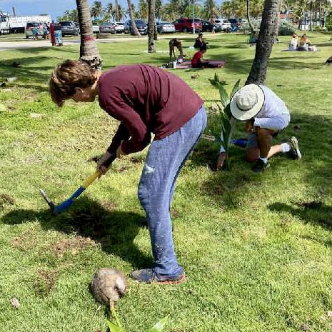 ToolBankUSA's tweet image. What a wonderful place to spend the day volunteering! Our friends at the @ScubaDogSociety in Puerto Rico teamed up with volunteers from #Colgate over the weekend. These volunteers participated in a beach cleanup and planting event. #toolbank #toolsforchange #scubadogs
