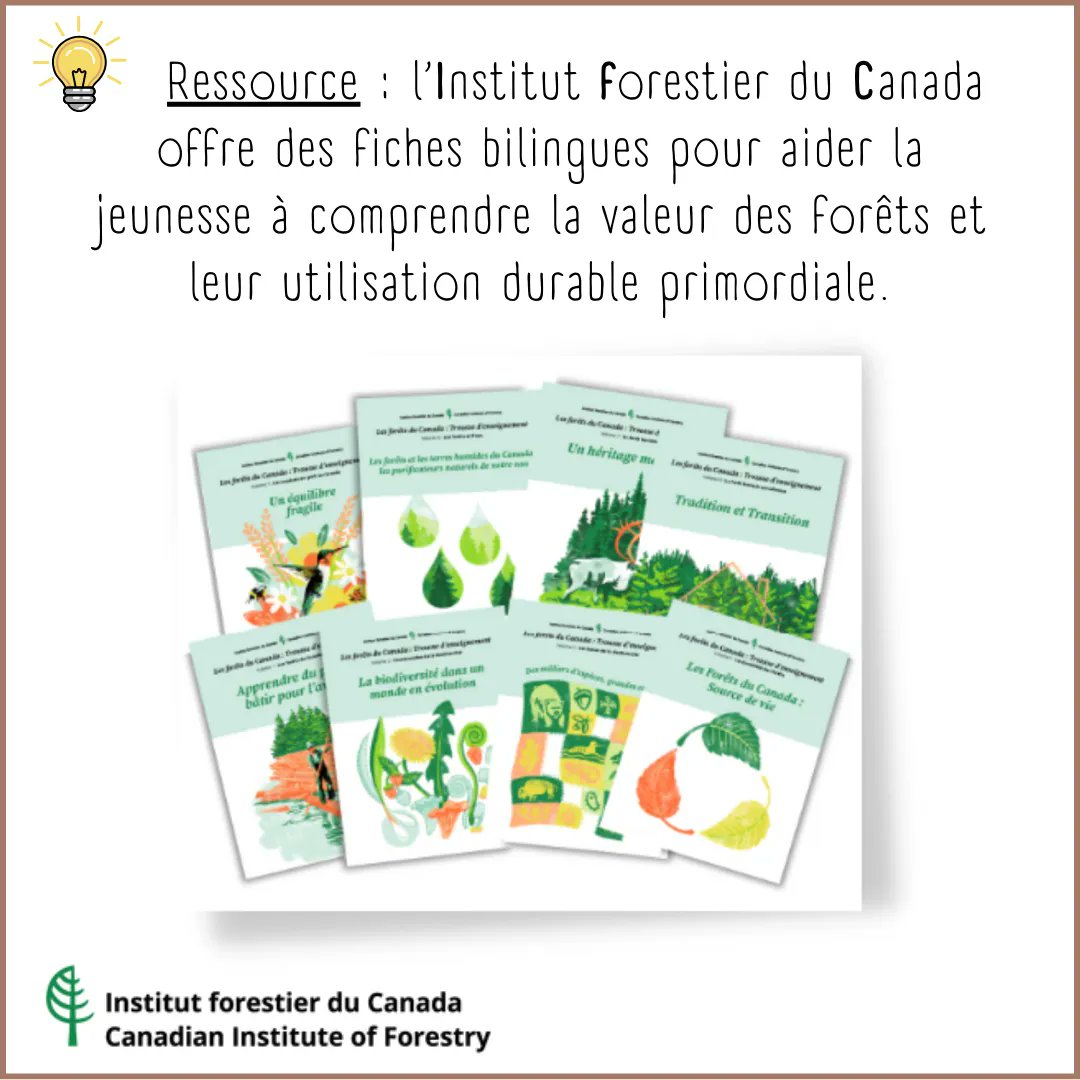 🌿 Semaine nationale de l’#arbre et des forêts #SNAF ! Cet événement a lieu depuis 1920* pour sensibiliser le public aux questions touchant les #forêts du #Canada. Une belle occasion pour d’en apprendre plus sur l’héritage forestier.
buff.ly/3PgVNGT @cif_ifc #NFW #tree