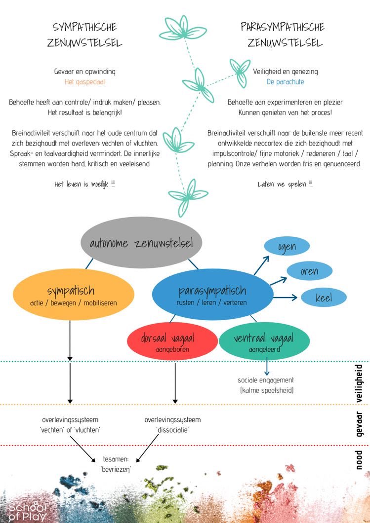 talentencoach's tweet image. Weer een dagje bijscholing op t program 💃

Rechtstreeks leren van Deb Dana in hoogst eigen persoon! Help je autonome zenuwstelsel te leren reguleren en tot rust te laten komen.
Mooie tools!

Ik bied speciale sessies hiervoor aan! 

#stressmanagement #burnout #loopbaancoaching