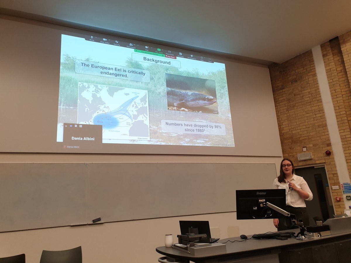 .@MackayAbi of the @WWTworldwide tells #BESAG2023 about the complexity of European eel lifecycles and work to assess their distribution in ponds