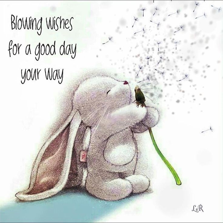 VIKING 🖤⚔️🗡️On hiatus tweet media