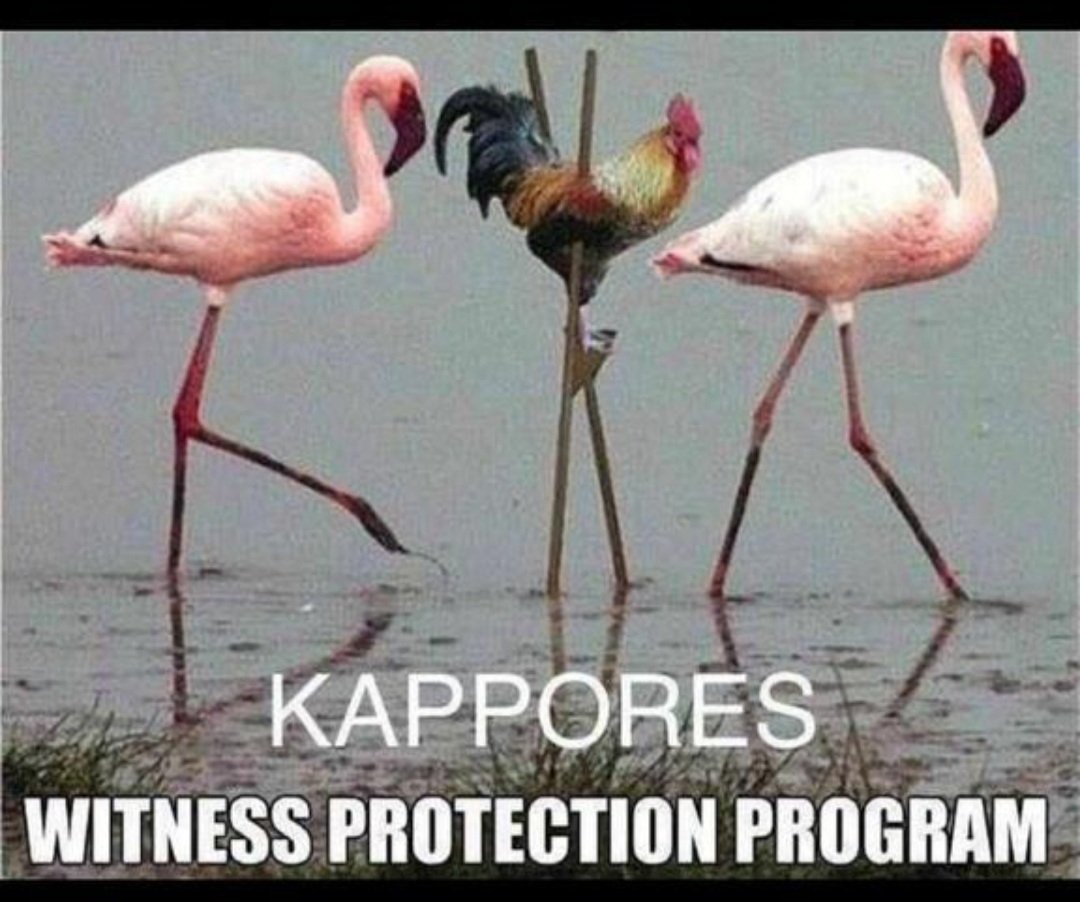 Kalonymus tweet media